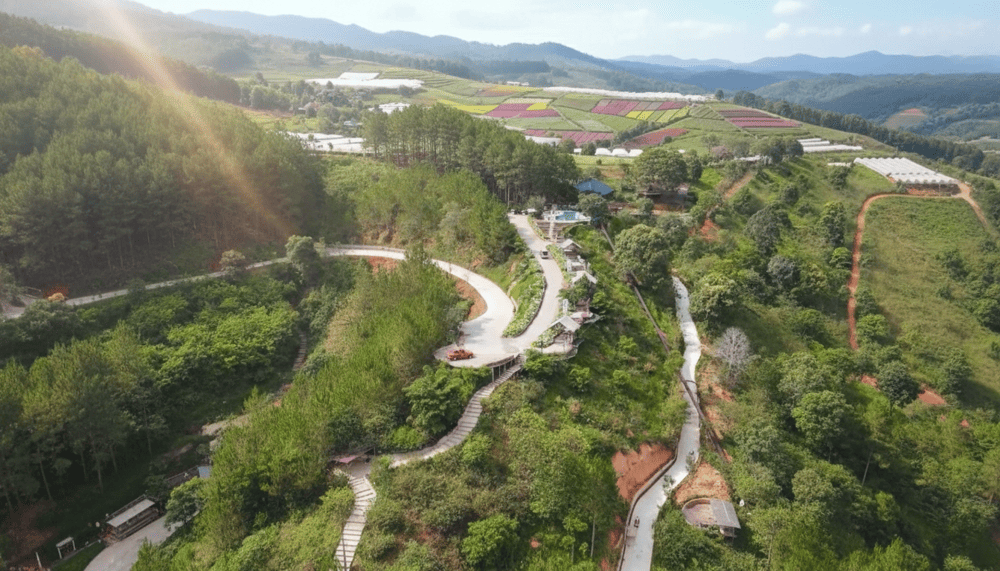 Cung đường quanh co giữa rừng thông dẫn lối đến Cao Nguyên Hoa Đà Lạt.